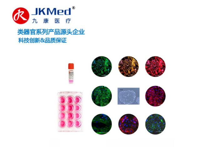 科研细胞